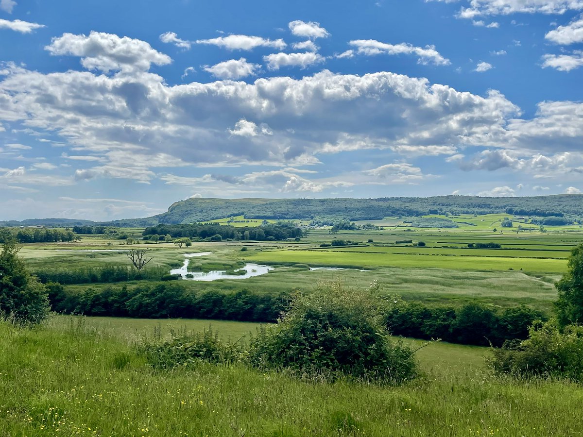martin_grayston's tweet photo. Park End Moss wetland walk from Sizergh Castle 🏰🌿🦅🦢🎋🐾 #sizerghcastle #Cumbria #brigsteer #lakedistrict https://t.co/IXp4qBoMBa