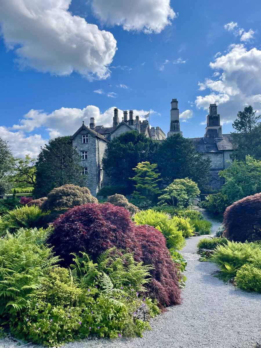 martin_grayston's tweet photo. Park End Moss wetland walk from Sizergh Castle 🏰🌿🦅🦢🎋🐾 #sizerghcastle #Cumbria #brigsteer #lakedistrict https://t.co/IXp4qBoMBa