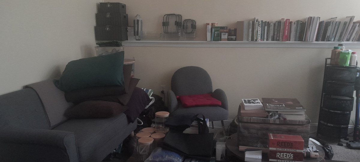 misstreeturtle's tweet photo. This is the living room area in my home office where I offer one-on-one peer counseling and where I find cozy comfort on tiring days. https://t.co/JBx5viVelY