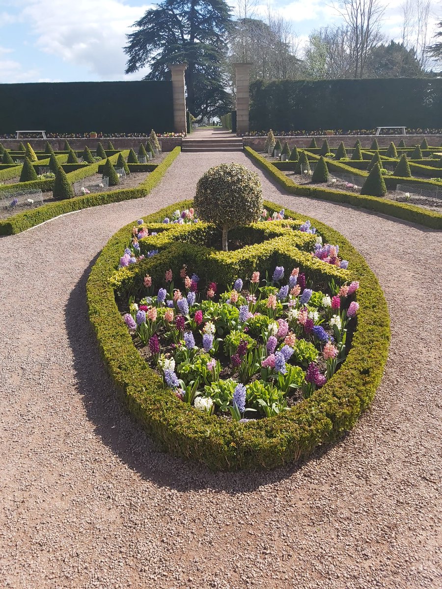 prezza89's tweet image. I have apparently 1666 followers. Do say hello if you are still here. I hopefully will post more !  #hellotwitter