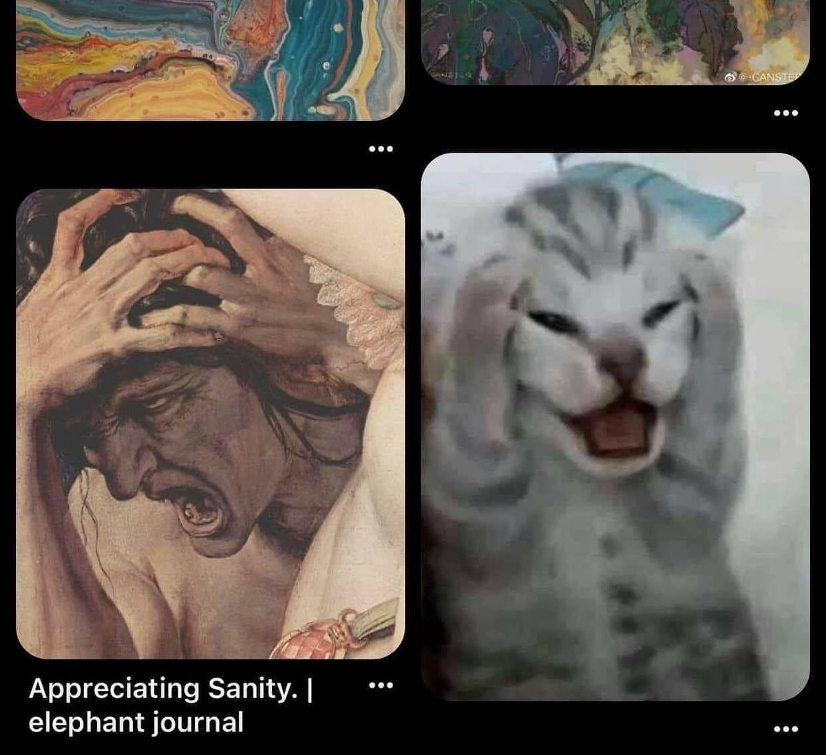 PunchingCat's tweet photo. life imitates art https://t.co/gnP44jTqCN