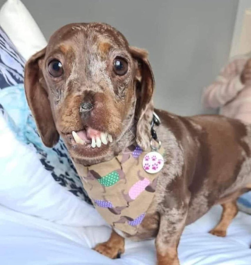 Beyond_theleash's tweet photo. I know , I’m not beautiful but know no one wants to be my friends 🥺🥺 https://t.co/mnrLQy9tfN