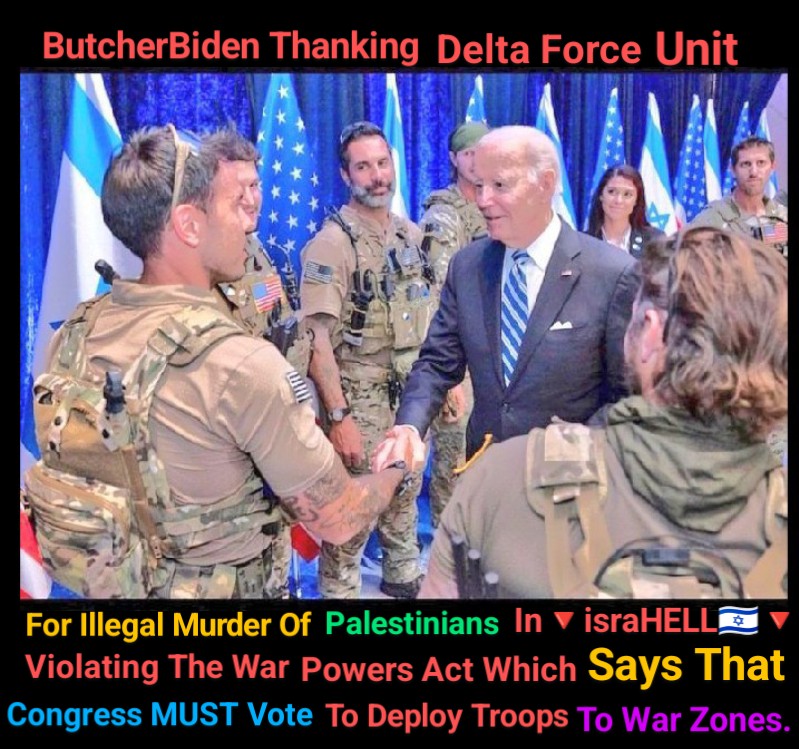 MrSpiritsRaven's tweet photo. Simple answer is #ButcherBiden built that #FloatingPier so he can sneak #DeltaForce into #PalestineGaza🇵🇸To Kill #Palestinians. https://t.co/ZmZgyelIbZ