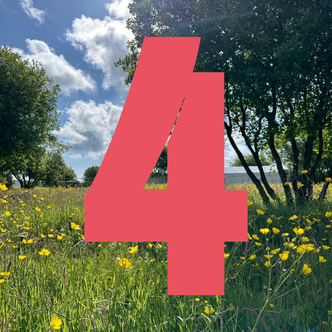 4 days to go…

How is it Monday already😳 another week of site build has commenced!