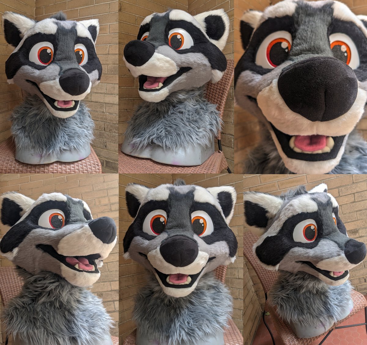 Spainimation tweet media