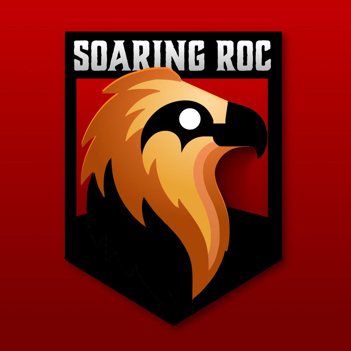 Soaring Roc Studio tweet media