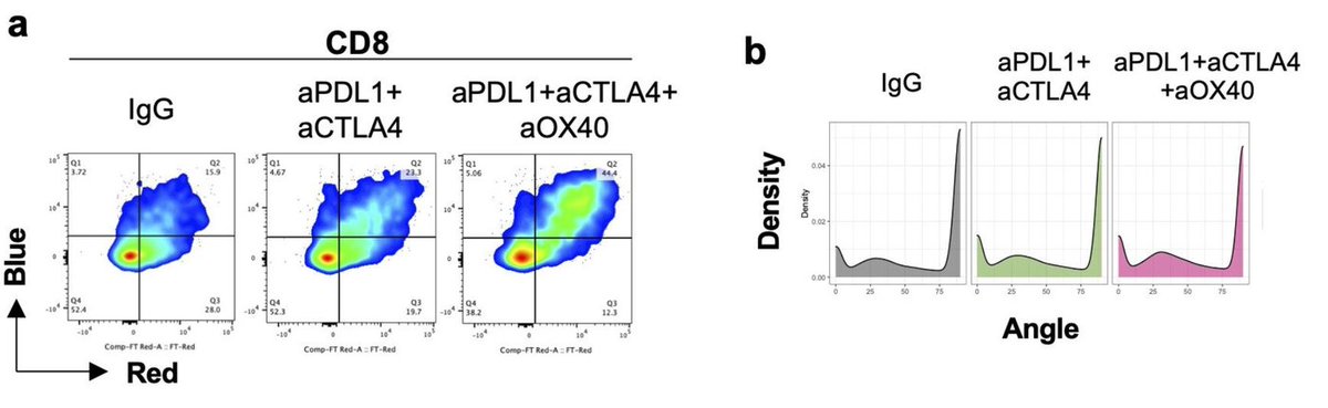 New Blog Entry: Tocky illuminates mechanisms of immune checkpoint blockade 👉monotockylab.github.io/blog/2024/Canc…
Our research on immune checkpoints using Tocky began in 2017, leading to recent studies on anti-PD-L1 and anti-CTLA-4 with Nr4a3-Tocky. Always grateful to my collaborators, Prof