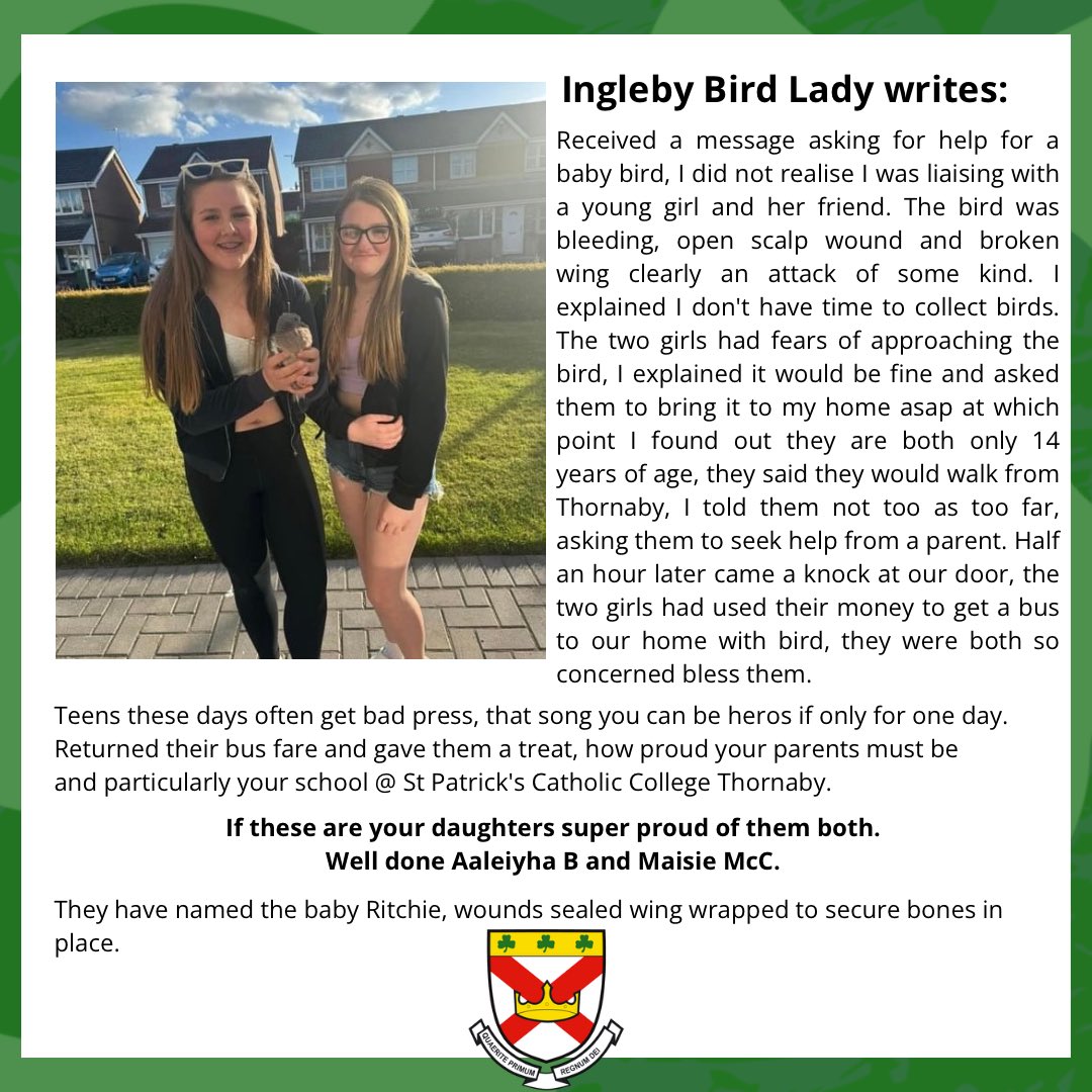 stpatrickscc's tweet photo. ☘️💚🐦WELL DONE GIRLS!🐦💚☘️
Over the weekend, we were sent this lovely message, which the @ingleby_birdlady had written about two of our wonderful Year 9 pupils.
We are so proud of you both, not just for this moment but always! Well done for your kindness!✨
#stpatsfam #npcat https://t.co/URRBsX64mk