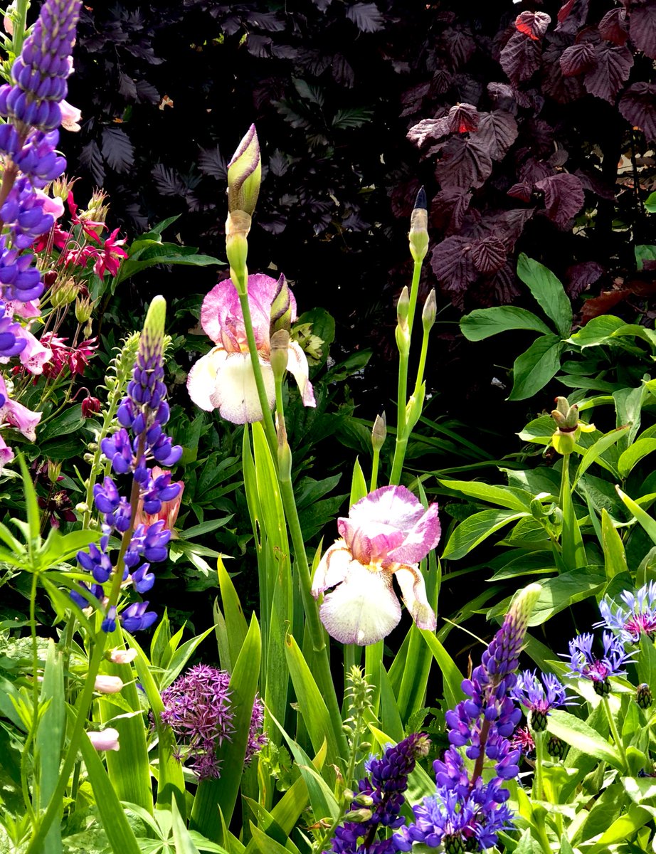 🌱GreenFingers tweet media