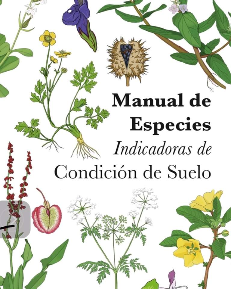 Marco Jerico tweet media