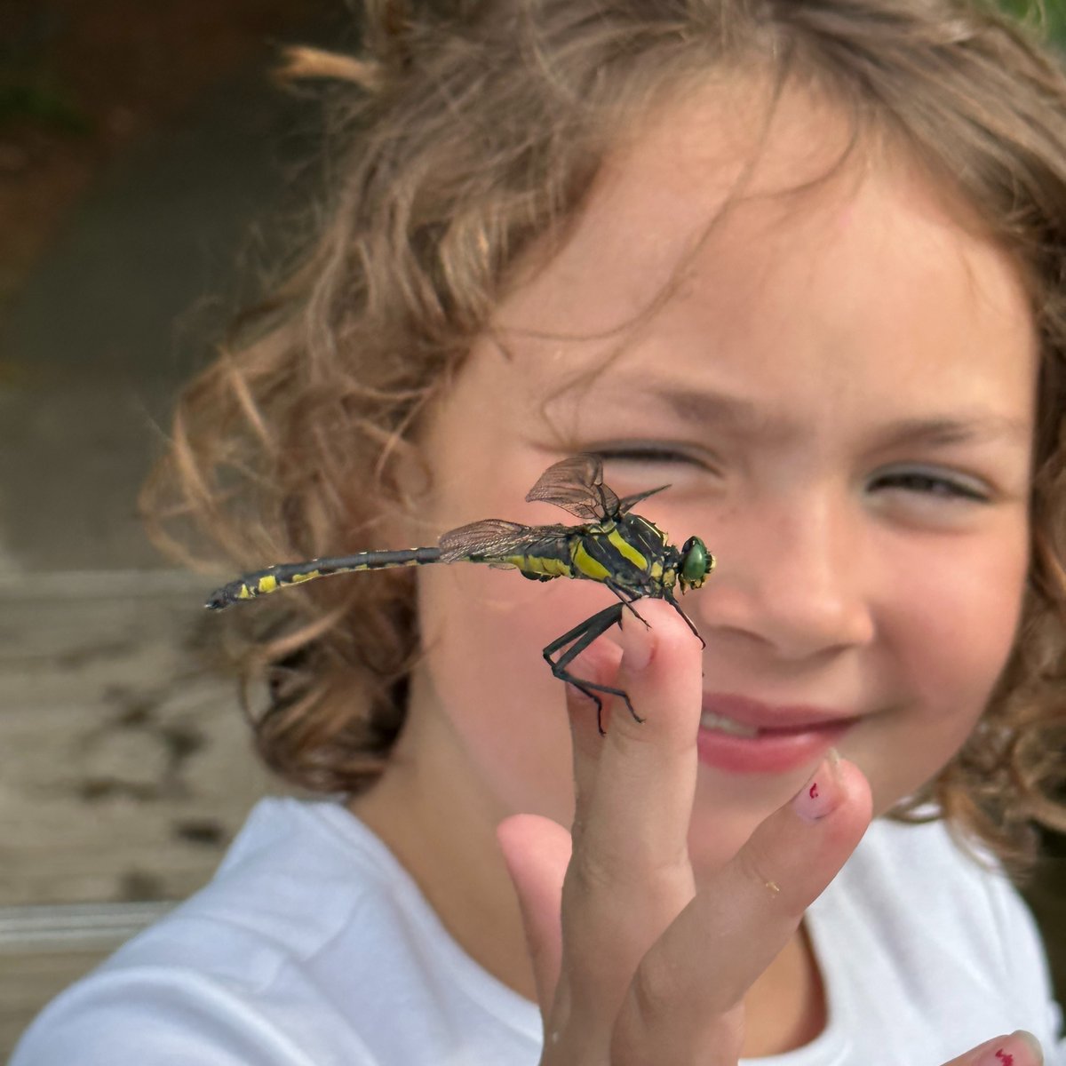 EffectiveAir_'s tweet photo. Look at this beautiful dragonfly with our colors!���� 💚 What a great reminder of why we do what we do! #NationalDragonflyDay

#EffectiveAir #GlenviewIL #Illinois #TheHealthyHomeExperts #Northbrook #HighlandPark #Winnetka #Wilmette #Skokie #Amana https://t.co/stW4qVxzRe