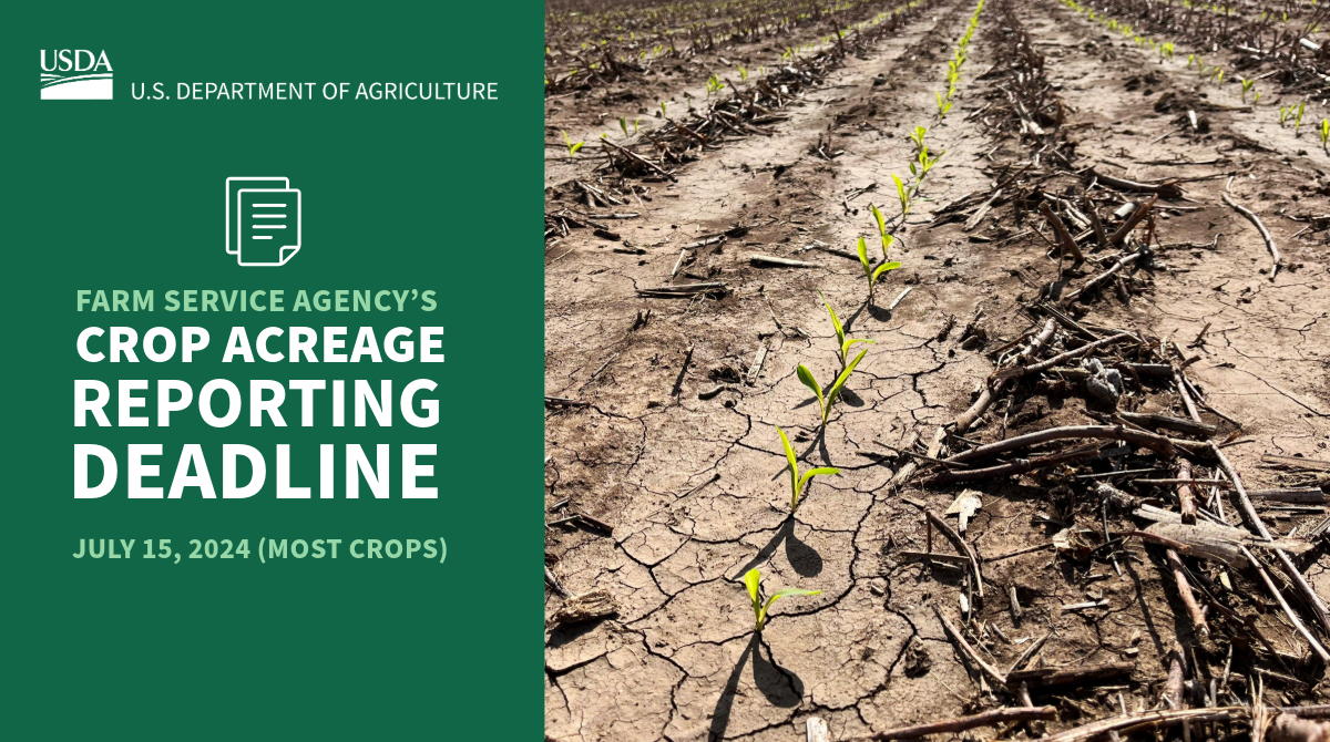 If you haven’t completed your crop acreage report, call your local FSA office for an appointment. July 15th is a major deadline for most crops, but reporting deadlines vary by county and by crop: bit.ly/3yXkELt