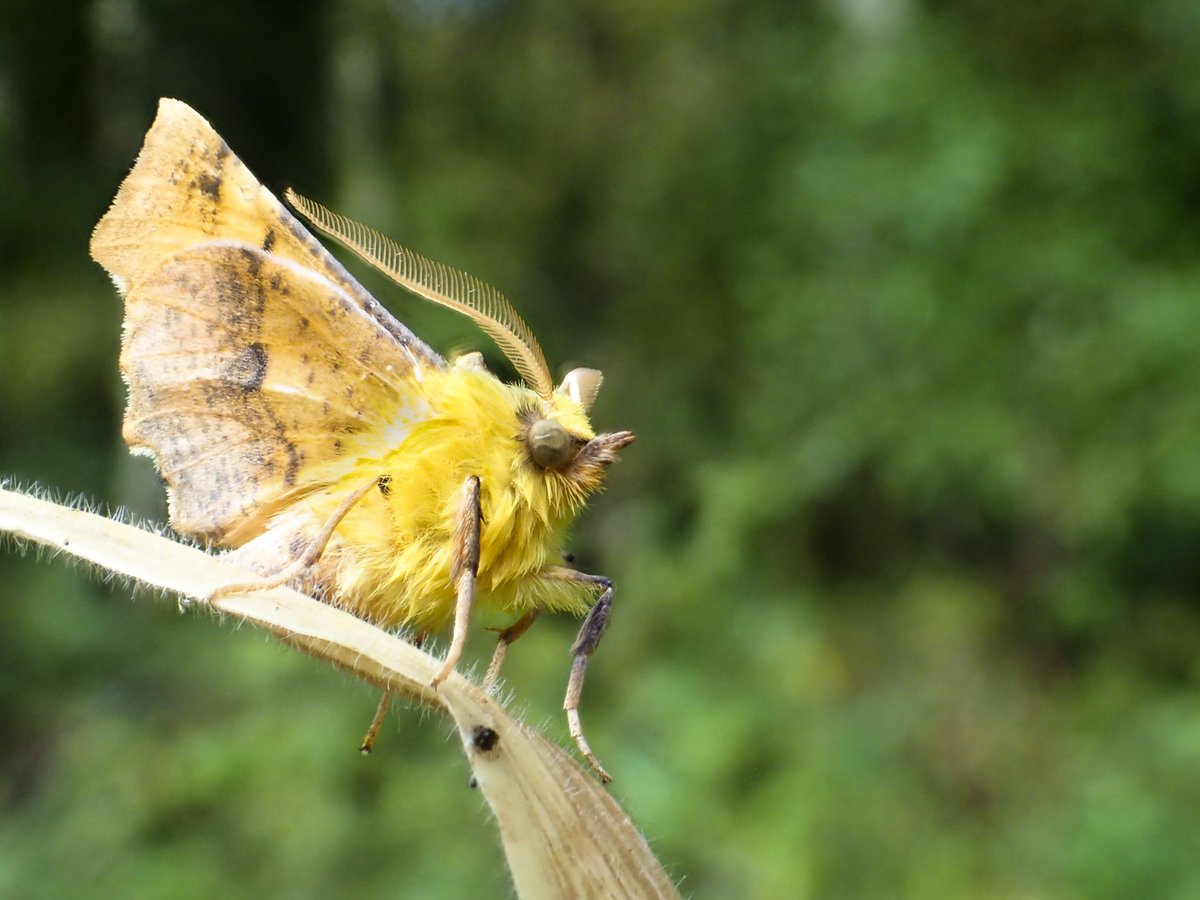 Katty Baird tweet media