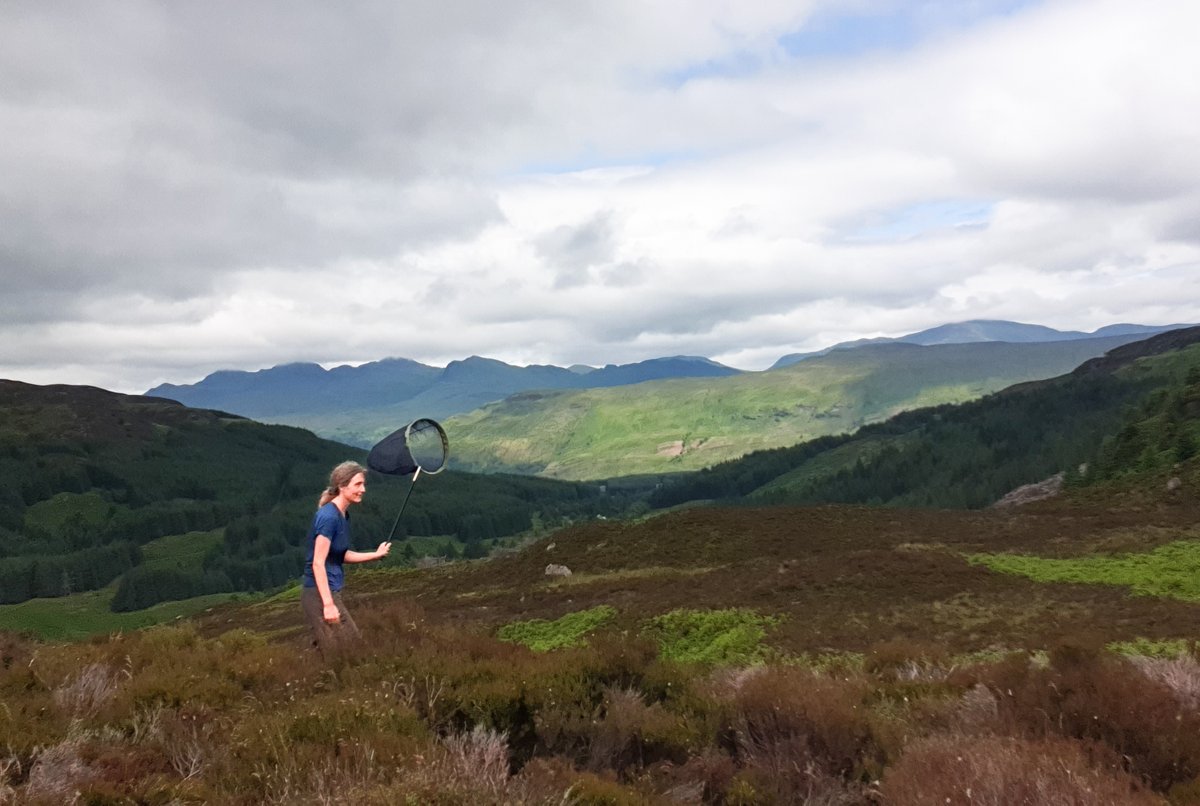 Katty Baird tweet media