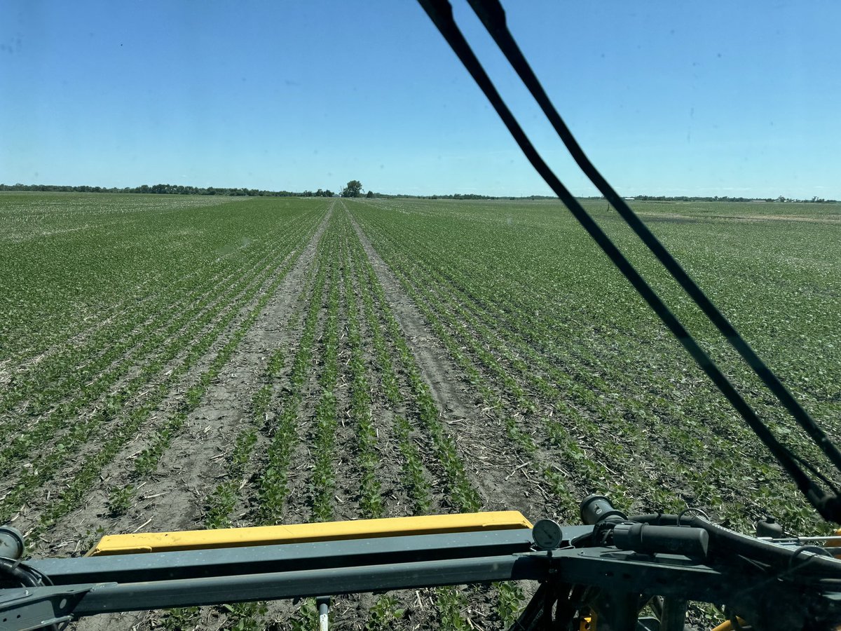 Matt Swanson tweet media