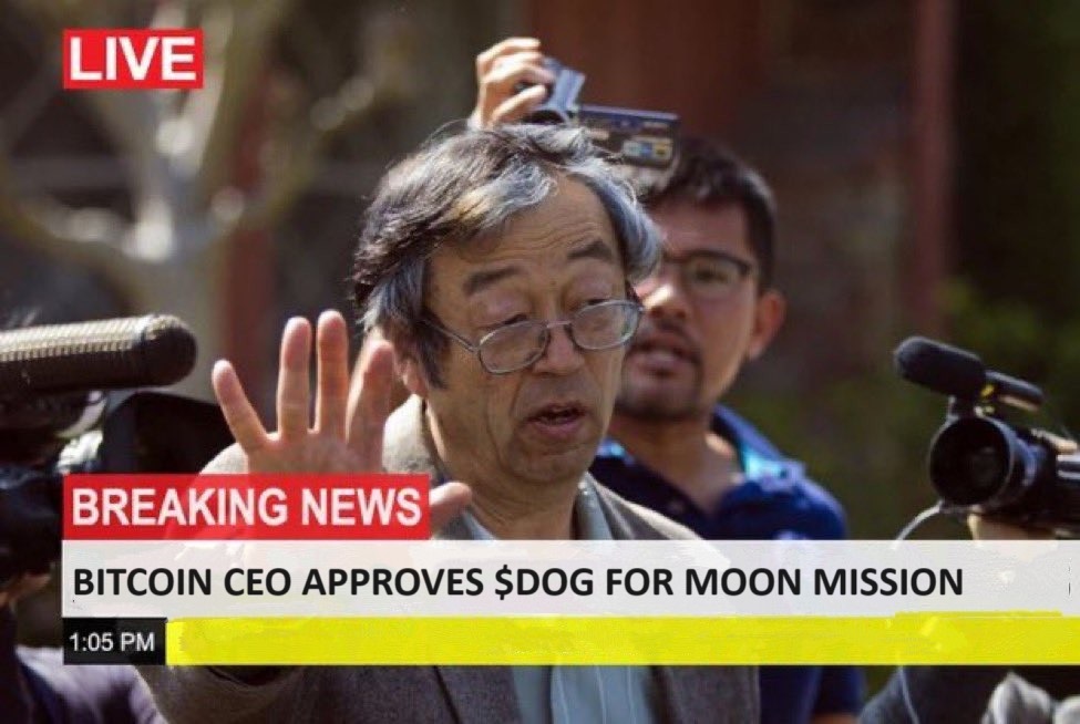 Leonidas 🧡 $DOG (@leonidasnft) on Twitter photo Repost if you are ready to send $DOG to the moon! Repost if you are ready to send $DOG to the moon!