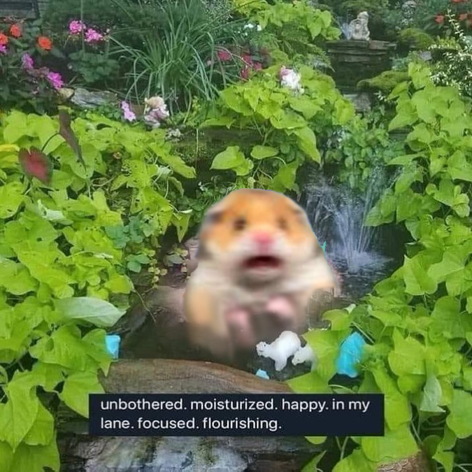 Hamster Screaming tweet media