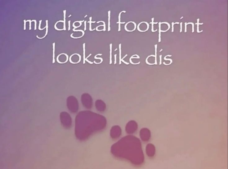 meep 🐾 (@cutecoric) on Twitter photo 