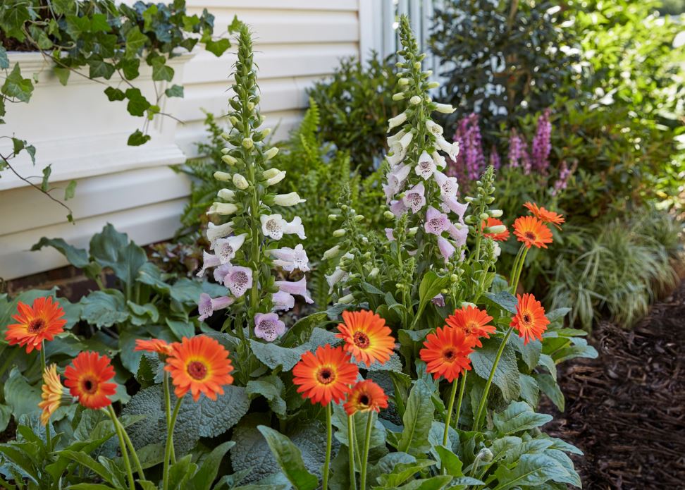 MetrolinaGreenhouses tweet media