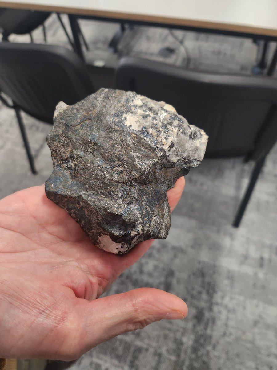 Caitlin Byrt tweet media