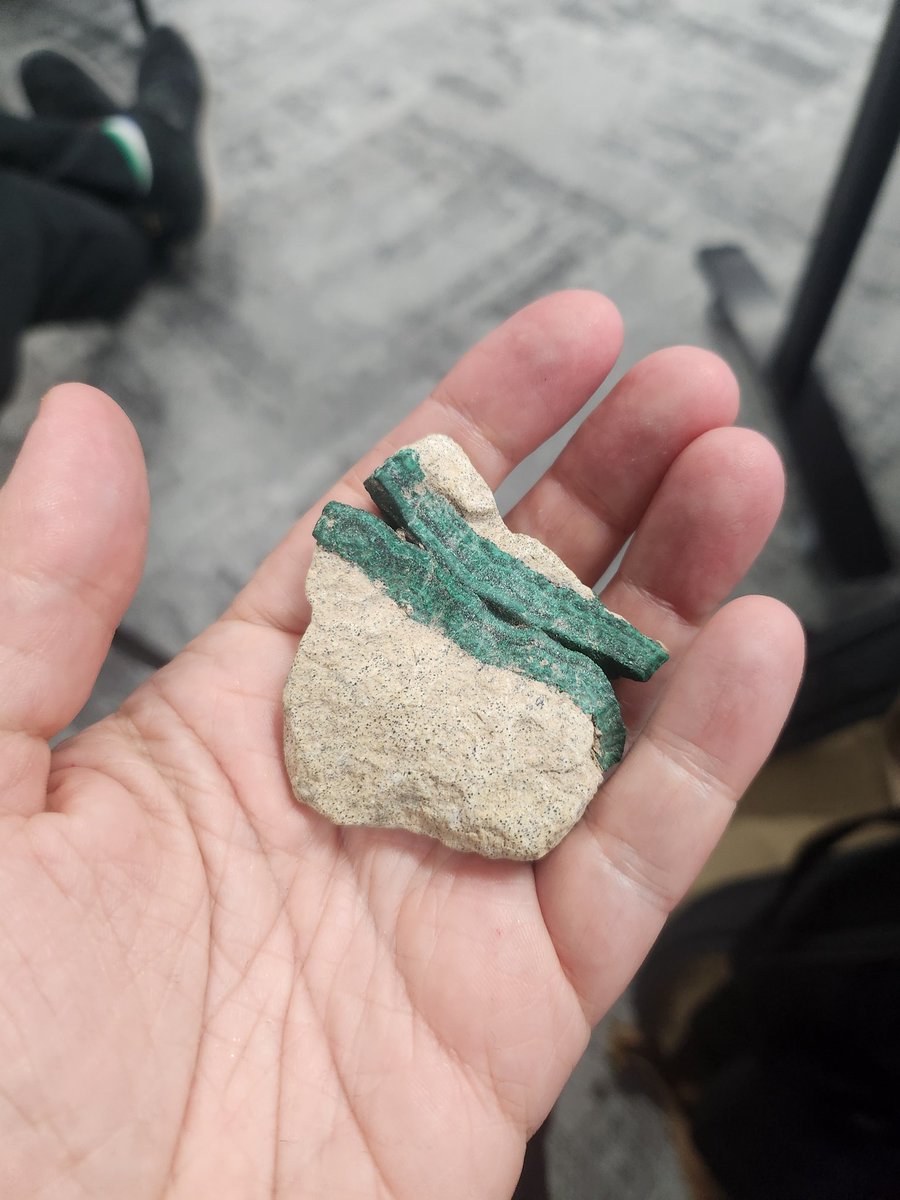 Caitlin Byrt tweet media