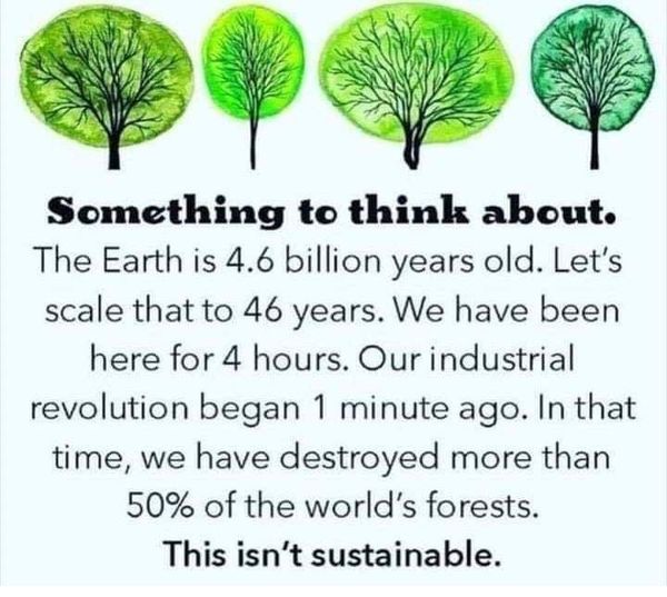 Greenisamissio1's tweet photo. Night thoughts, repetition
A short journey through time for reflection💚🌱☘️🌿🌳🌲💚 https://t.co/n3pFcWNTh2