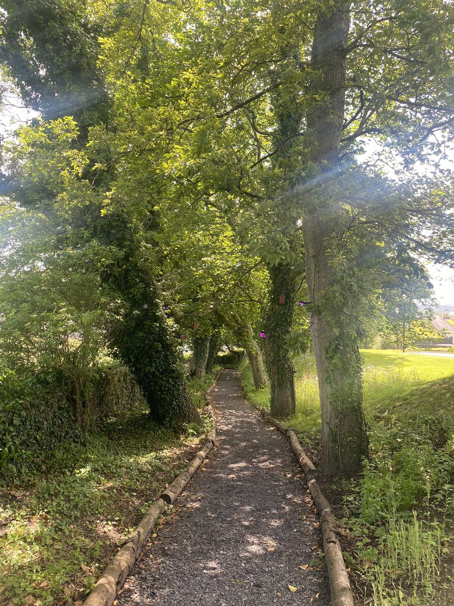 jackiemcguin's tweet photo. Day 1989 of #2000daysofwalking #365crew Lovely sensory walk in @radissonsligo and relaxing spa time! https://t.co/dsv0nbFU2y