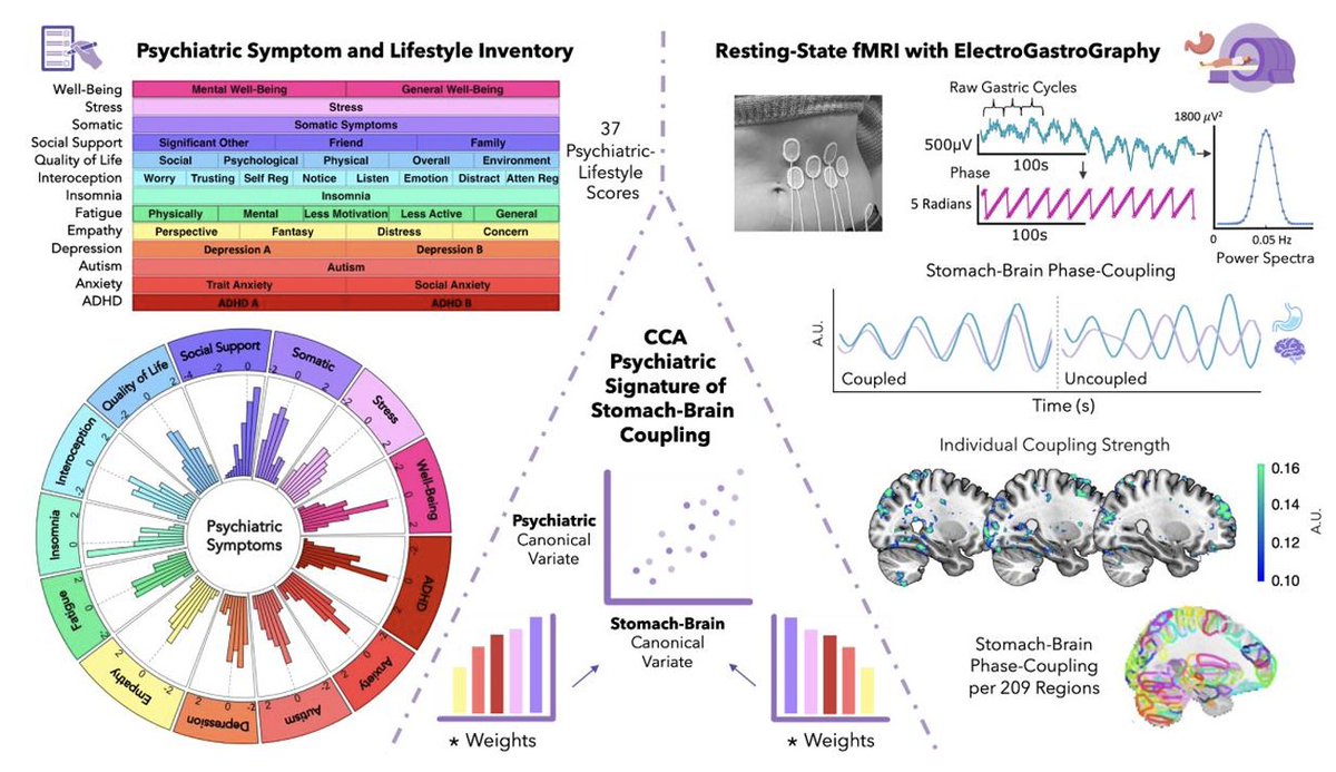 Micah G. Allen (@micahgallen) on Twitter photo Ever had a bad gut feeling ? Maybe there was something to it! In our new study, led by the brillant @leahbanellis & <a href="/BrainAndStomach/">Ignacio Rebollo</a>, we combined fMRI & electrogastrographic imaging in 200+ participants to uncover hidden links between the gastric-brain axis & mental health Ever had a bad gut feeling ? Maybe there was something to it! In our new study, led by the brillant @leahbanellis & <a href="/BrainAndStomach/">Ignacio Rebollo</a>, we combined fMRI & electrogastrographic imaging in 200+ participants to uncover hidden links between the gastric-brain axis & mental health