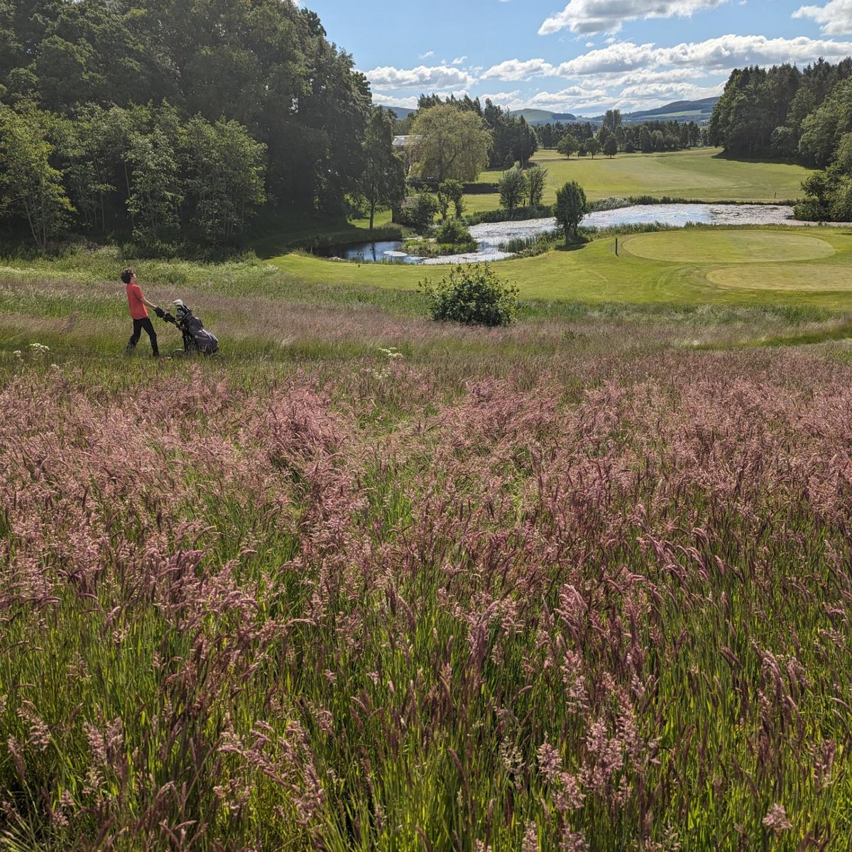 Gordon Mccormack tweet media