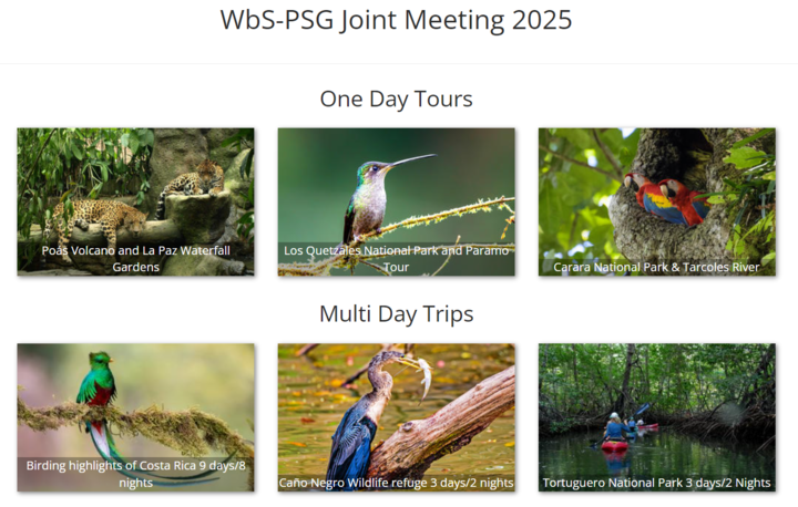 WbS/PSG 2025 Joint Meeting - Field trips update

The Waterbird Society and the Pacific Seabird Group are thrilled to share field trip options for the 2025 Joint Meeting in Costa Rica!

LINK: wetu.com/Rack/View/Cata…