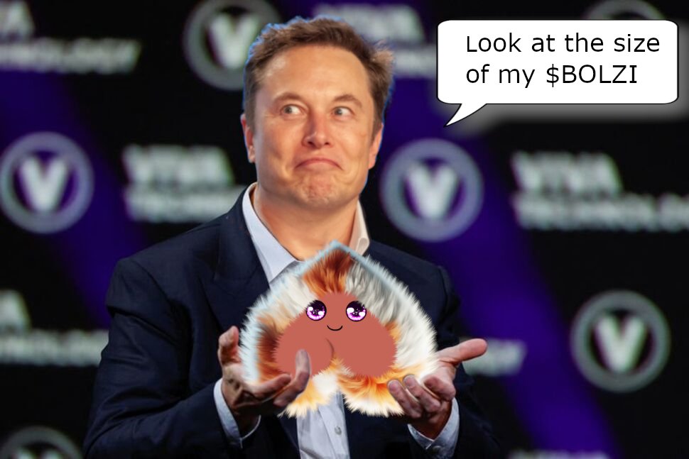 BolziCoin's tweet photo. @elonmusk If only everyone had as much $BOLZI as @elonmusk https://t.co/qhZVOYhwvK