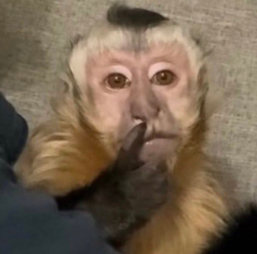 abelstxrboy's tweet image. queria que o abel brigasse com o mike dean e tirasse ele da produção do álbum