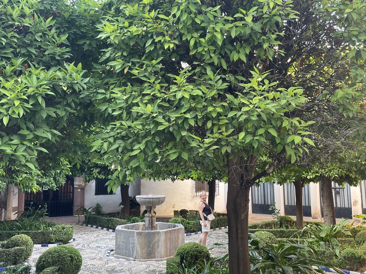 MizosStevan's tweet photo. Some filings from #Cordoba https://t.co/ok2M1fyBMa