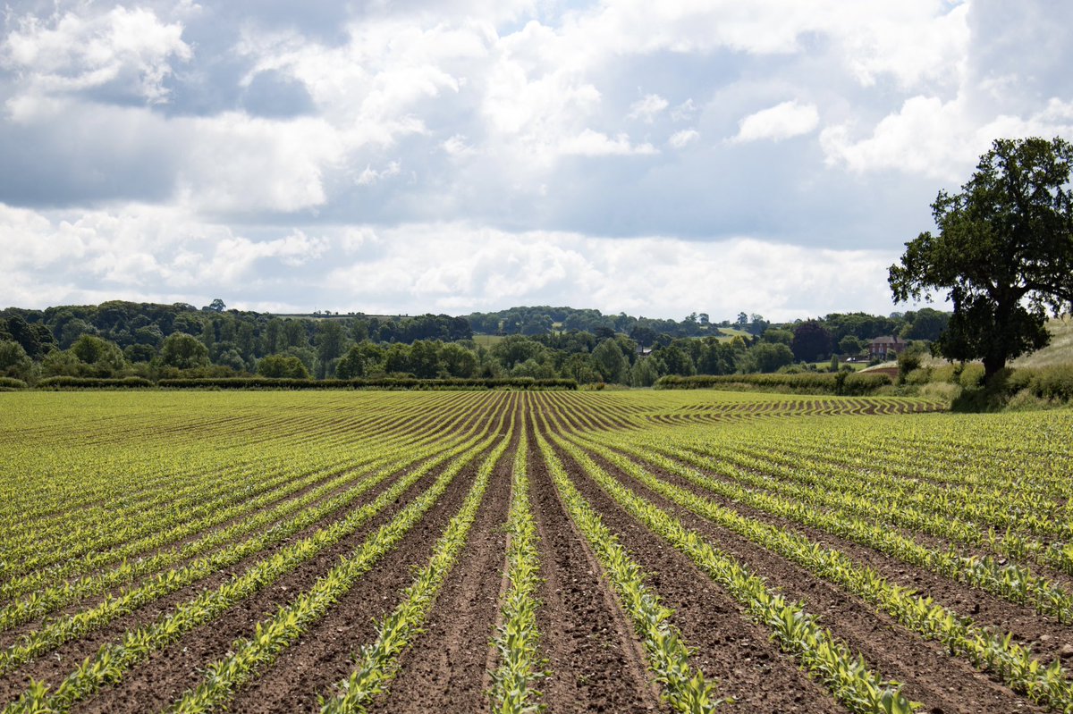 Some pics from my #mywalkit for Crohn’s &amp; Colitis Uk. Another 8.05 km done. 
18.91km ✅ so far