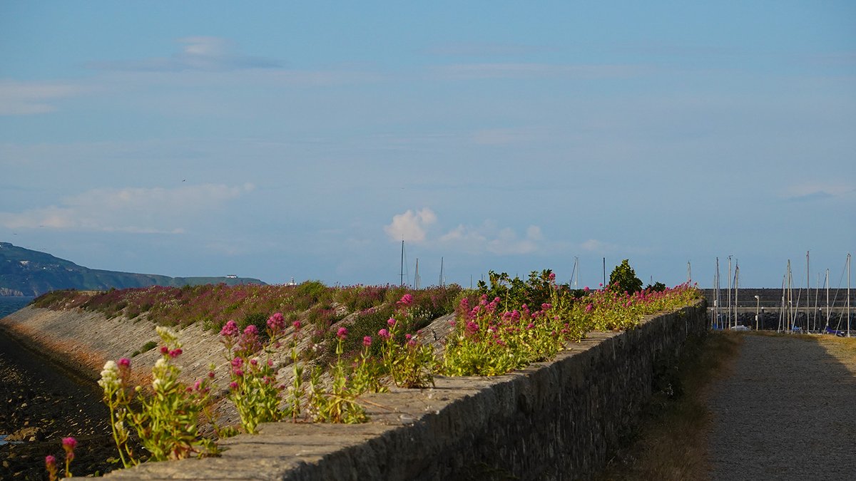 10 June 2024, Dublin
#Dublin #Photography