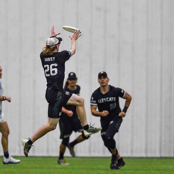 indyalleycats's tweet photo. UP 📢📢📢

#AlleyCats2024 #UFA2024 #NaptownNiceBoiz #AreYouIN #AmericasUltimateTeam #AllIN #UltimateFrisbee #Frisbee 

📸 Mike Gross https://t.co/ciseezwOUB https://t.co/vQqIq3gYnH