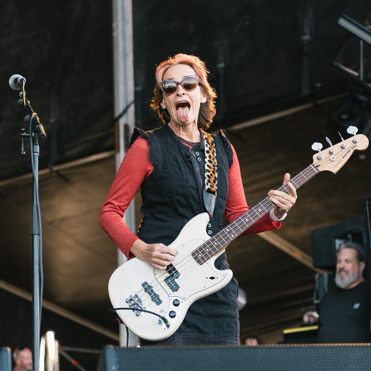 Spiderbait tweet media