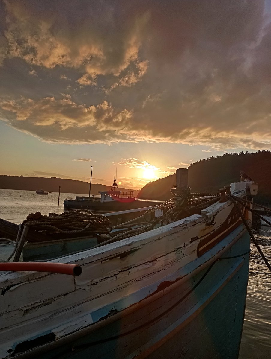 MarthadeFaoite's tweet photo. And while Passage East is gorgeous there's nowhere quite like this place for me.
#Ballyhack https://t.co/xpBcnDQ1R7