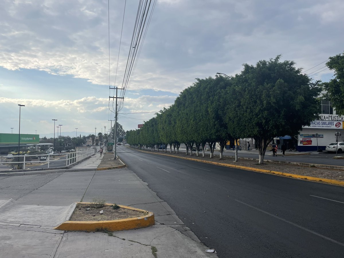 Simplemente genial. Los árboles para los peatones vs los árboles para los carros. Qué bueno que <a href="/FeliFerMacias/">Felipe Fernando Macías</a> ya va llegar a poner el  orden que <a href="/LuisBNava/">Luis Nava</a> no puso en 6 años. #qrolove #poralgoserá