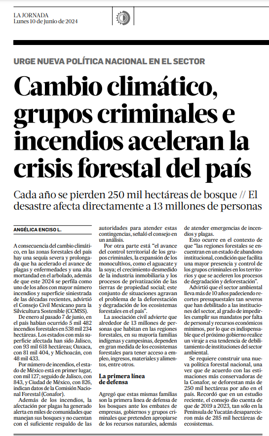 CCMSSAC's tweet photo. En las zonas forestales del país hay una sequía severa y prolongada que ha acelerado el avance de plagas y enfermedades y una alta mortandad en el arbolado, además de que este 2024 se perfila como uno de los años con mayor número incendios.

📄📌https://t.co/vr5n6ehDPa https://t.co/6yrTiY7t9q