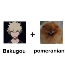 albinohotpocket's tweet photo. @BAKUGO_THEBEST dont play cause don’t u look like this https://t.co/V9ViulPl3y