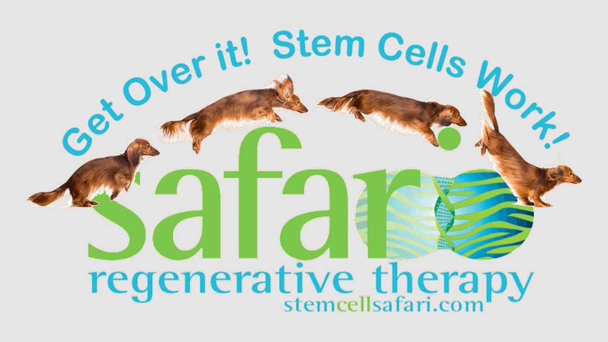 Aller_MD's tweet photo. The FDA issued a warning to Safari Stem Cell for producing stem cell products for pets that claim to treat various animal diseases. Stay informed about pet treatments. #FDAWarning #PetHealth https://t.co/nLE130BX72 https://t.co/hjiKBAwhg4