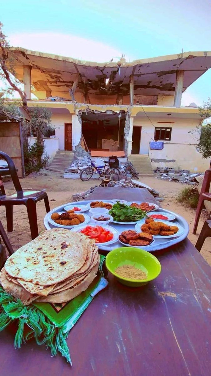 PalestineCultu1's tweet photo. Good morning♥️
We will rebuild Gaza to be beautiful again.🇵🇸 https://t.co/51EVyYu8Xa