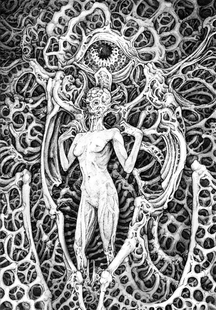 Shinnoak tweet media