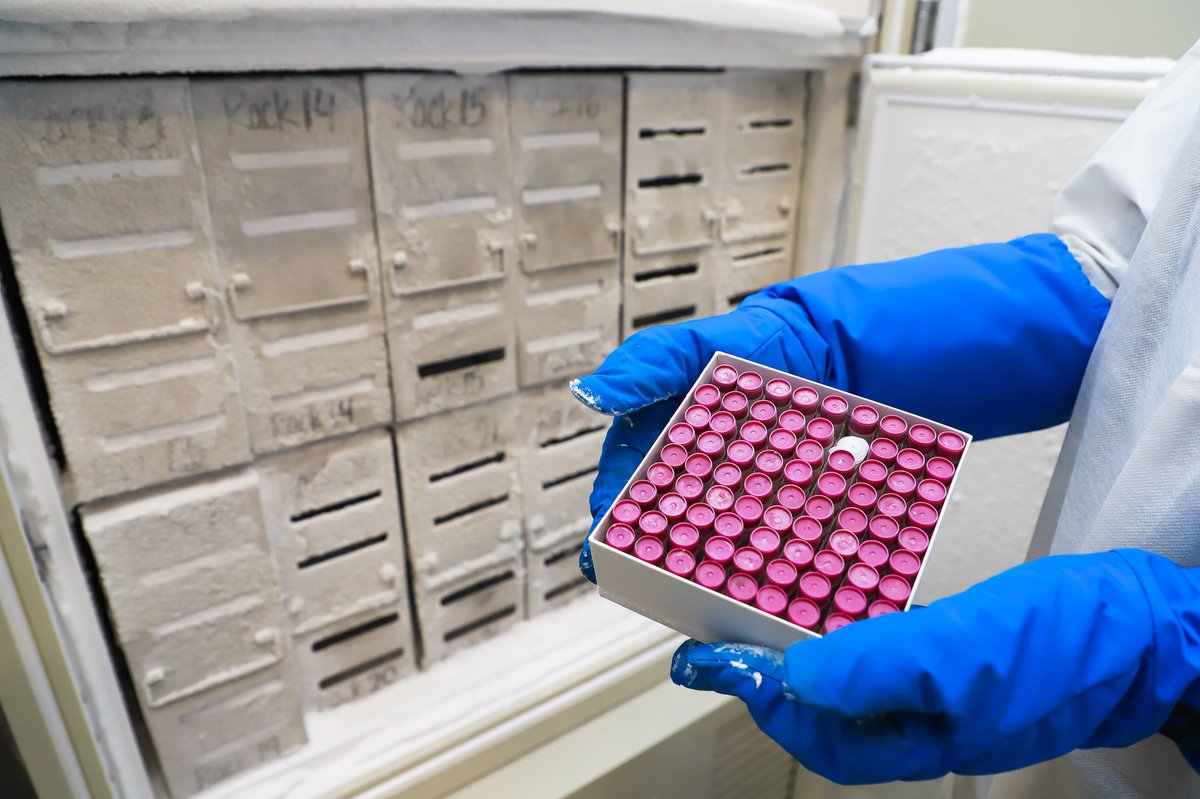 BC Children's Hospital BioBank tweet media