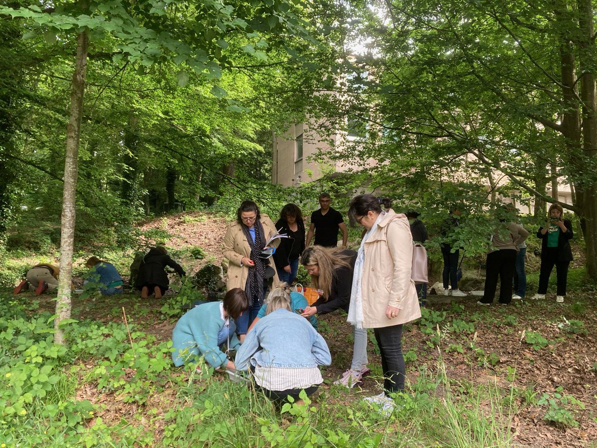 MISS_sciences's tweet photo. 10/06 - Journée de formation pour les PE 1er degré de l’@education_gouv #CD91
Biodiversité et cycle de l’eau domestique.
#HélèneCourvoisier
#AliceAléonToppani https://t.co/icpf1HtuvF