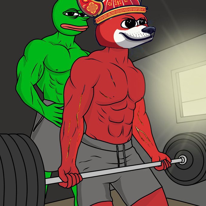 FlochiToken's tweet photo. $FLOCHI shredz lolz poomp the mooscles https://t.co/TGbkBprSnp