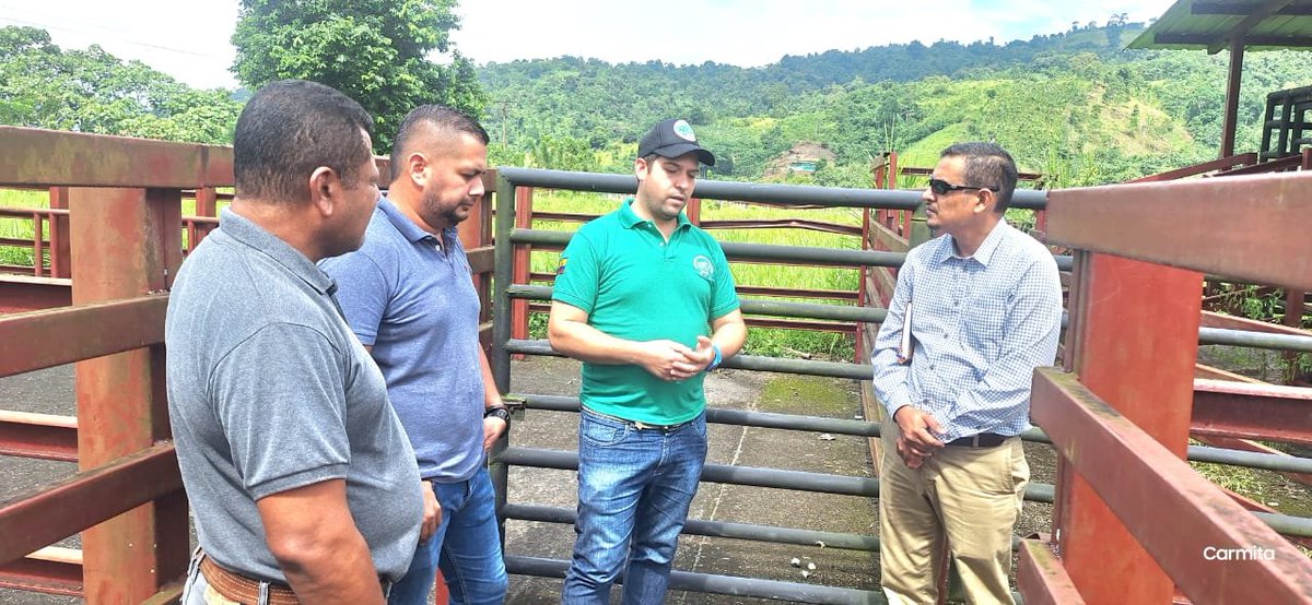 Agricultura_CZ1's tweet photo. #Esmeraldas l Recorrimos junto a la @APGE_70 en el sector de Sagüe, con la finalidad de trabajar de manera articulada por el sector ganadero de la provincia.
#ElNuevoEcuadorResuelve https://t.co/A7iazvyt8b
