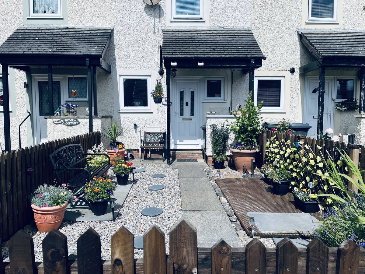 tigercumpsty's tweet photo. Bit of a nice day in the garden 🪴 https://t.co/zEeCkXLwl9