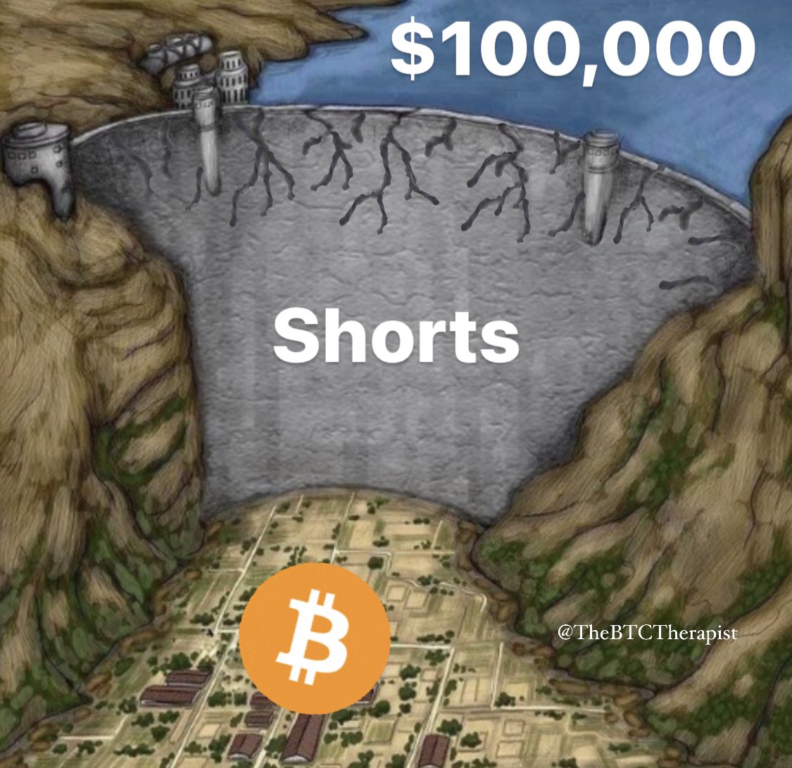The ₿itcoin Therapist tweet media